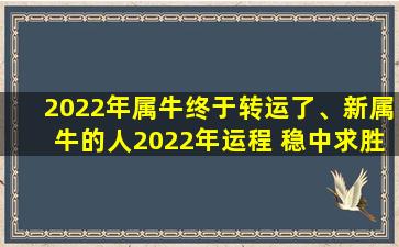 2022年属牛终于转运了、新属牛的人2022年运程 稳中求胜行大运